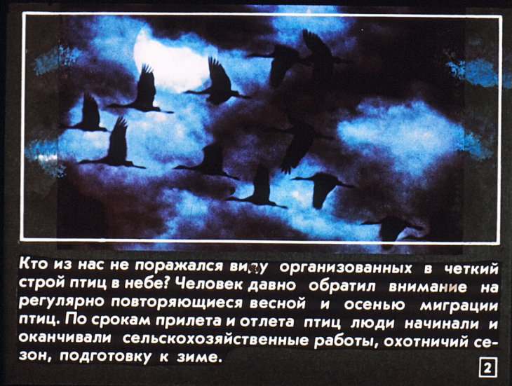 Кадр 2 диафильма «Вечные странники»