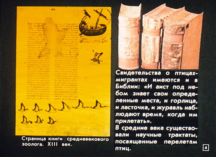 Кадр 4 диафильма «Вечные странники»