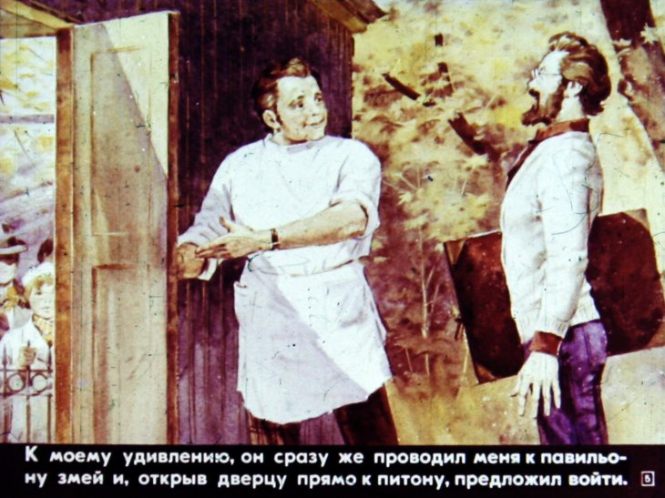 Кадр 5 диафильма «Шутка с питоном»