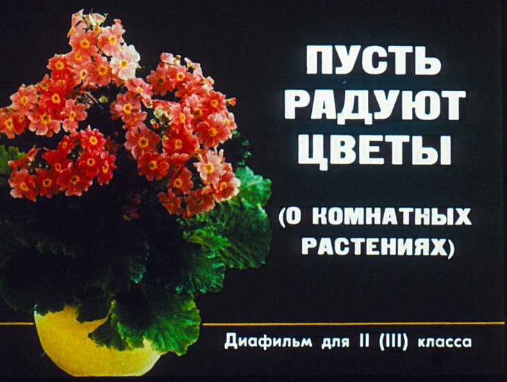 Кадр 1 диафильма «Пусть радуют цветы»