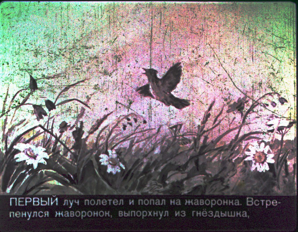 Кадр 4 диафильма «Утренние лучи»