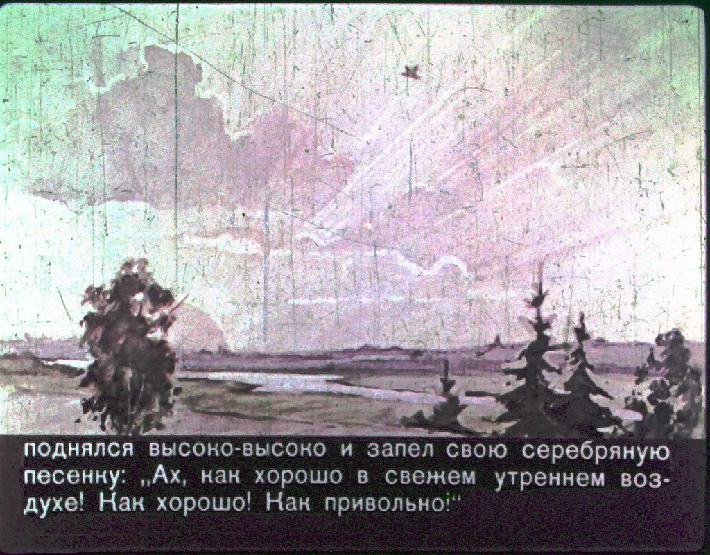 Кадр 5 диафильма «Утренние лучи»