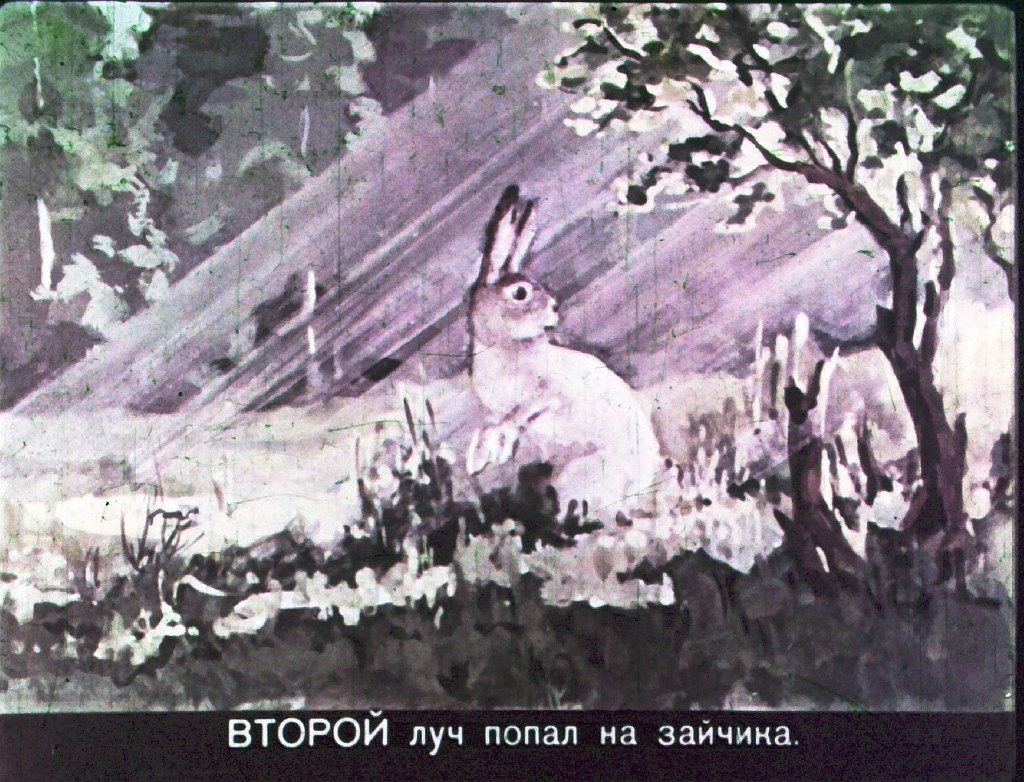 Кадр 6 диафильма «Утренние лучи»