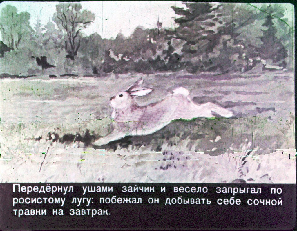 Кадр 7 диафильма «Утренние лучи»