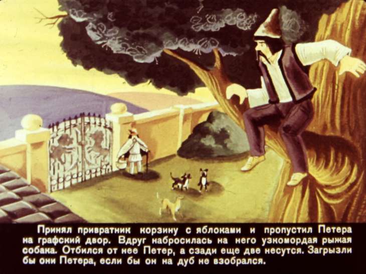 Кадр 5 диафильма «Два вола с горошину»