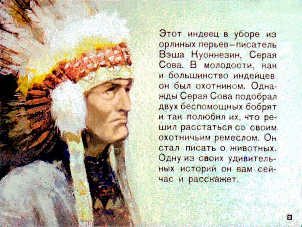 Кадр 2 диафильма «Саджо и ее бобры»