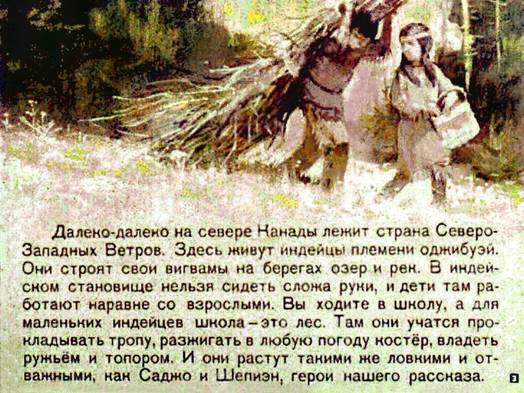 Кадр 3 диафильма «Саджо и ее бобры»