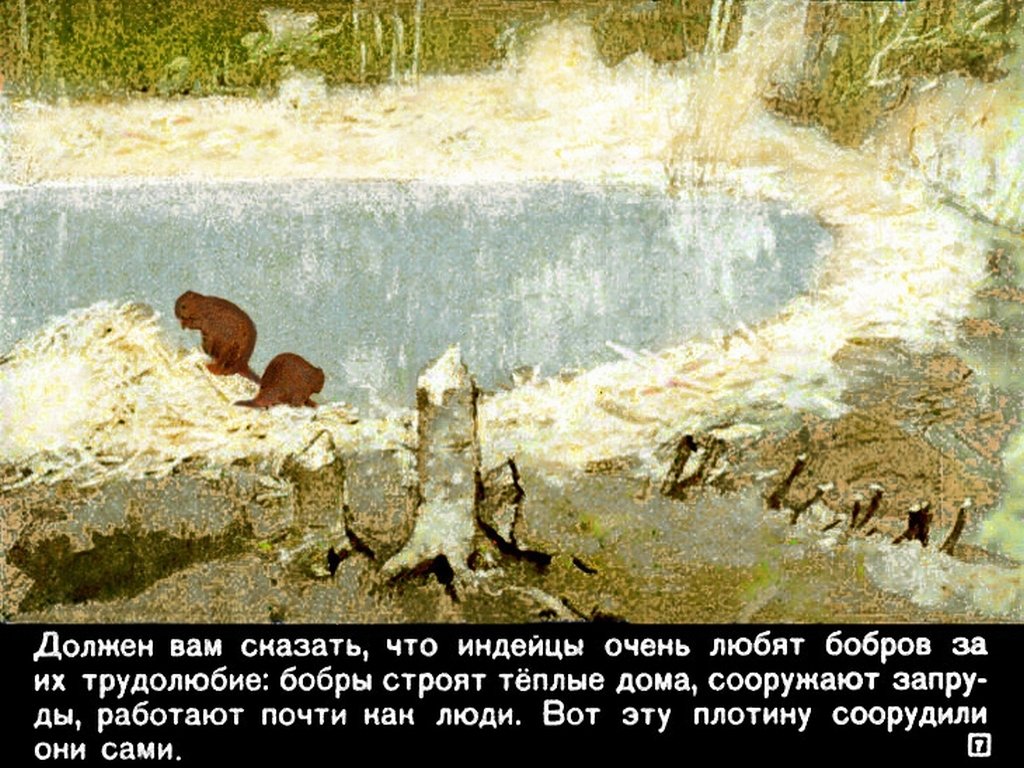 Кадр 7 диафильма «Саджо и ее бобры»