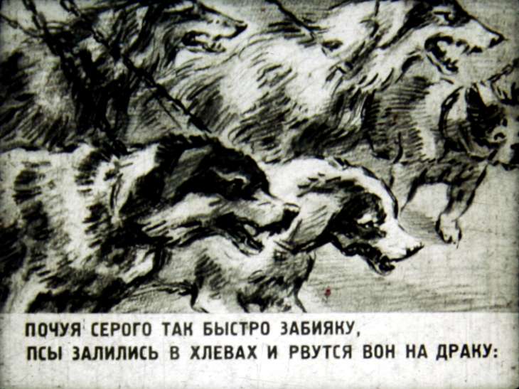 Кадр 5 диафильма «Волк на псарне»