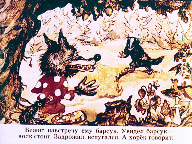 Кадр 4 диафильма «Как хорек волком нарядился»