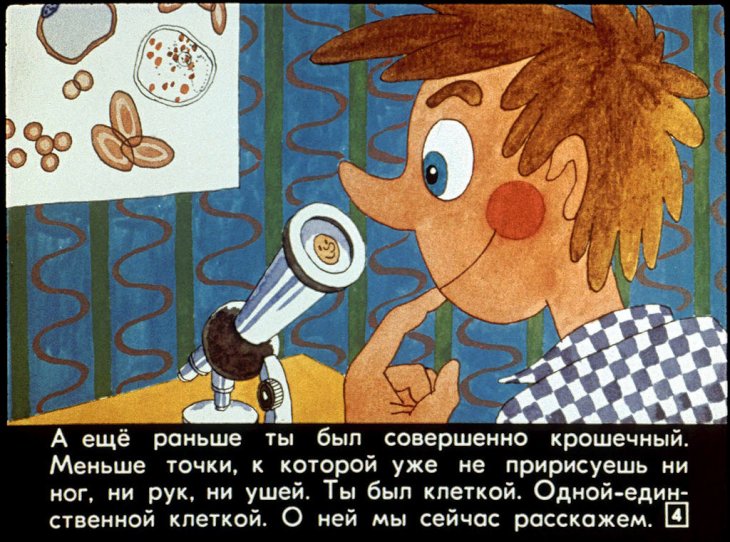 Кадр 4 диафильма «Детки из клетки»