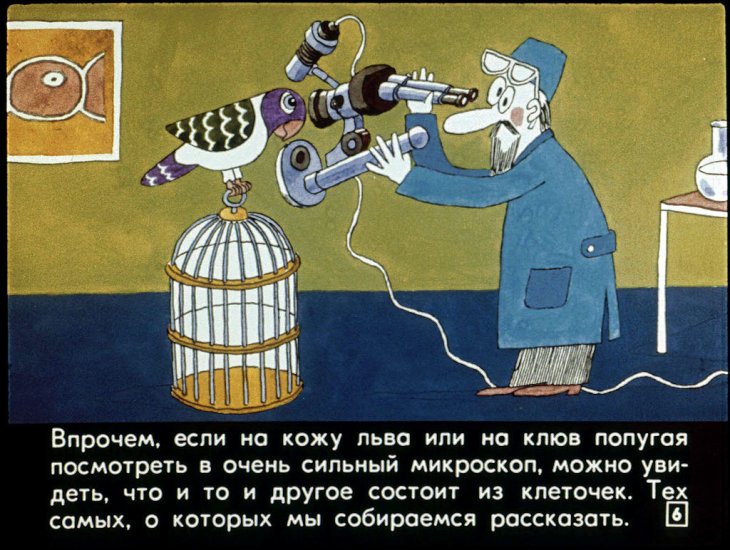 Кадр 6 диафильма «Детки из клетки»