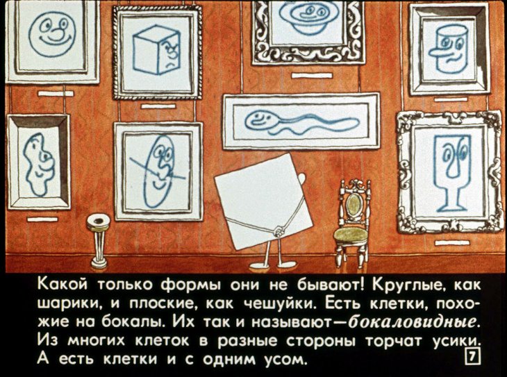 Кадр 7 диафильма «Детки из клетки»