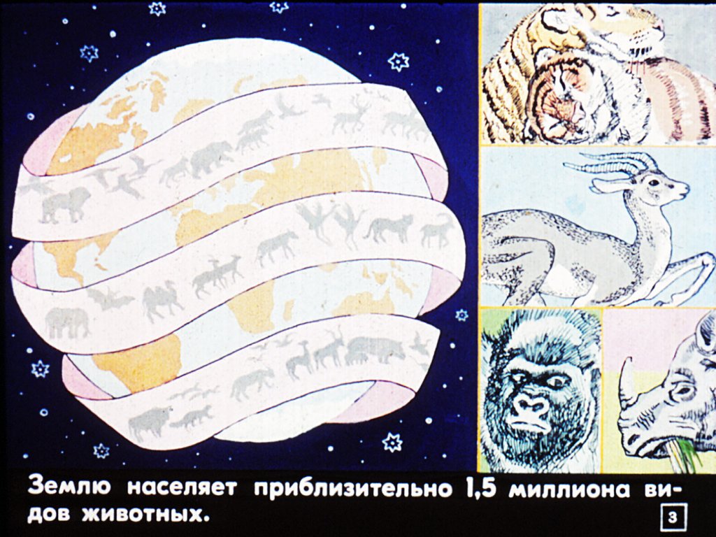 Кадр 3 диафильма «Возникновение жизни на Земле»