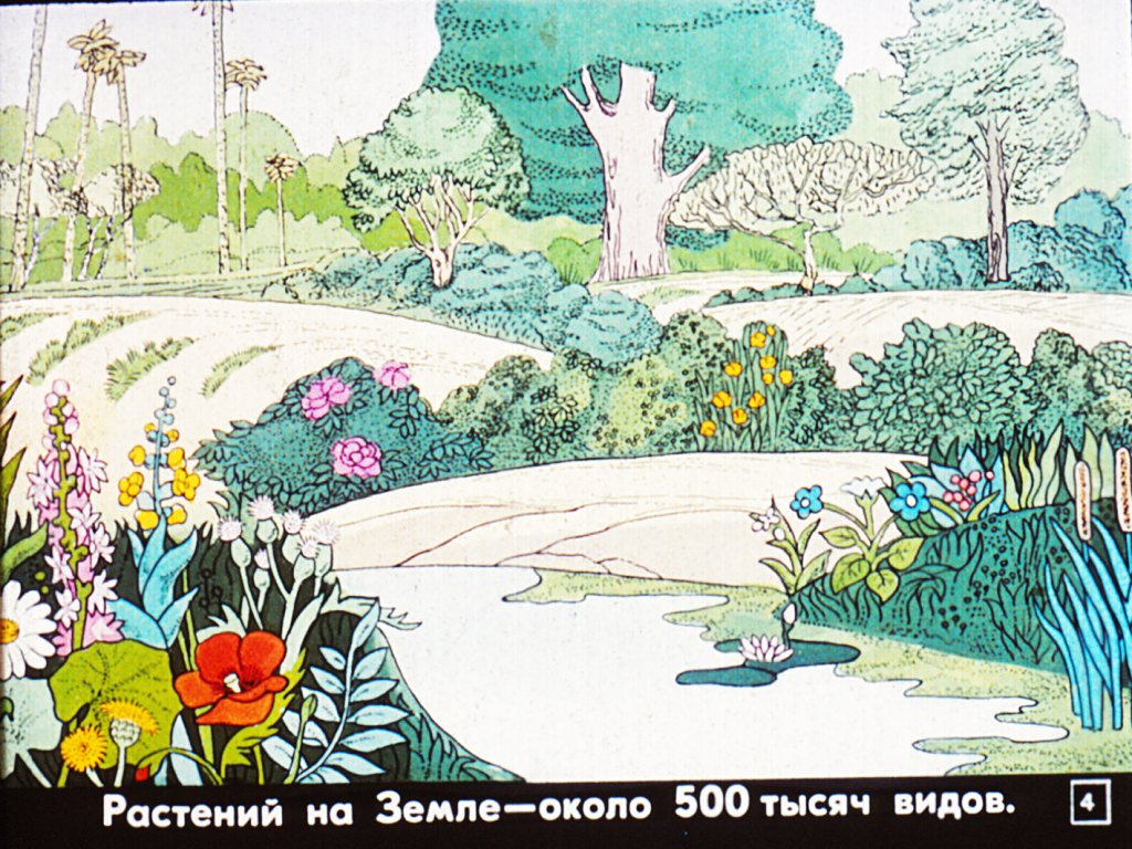 Кадр 4 диафильма «Возникновение жизни на Земле»