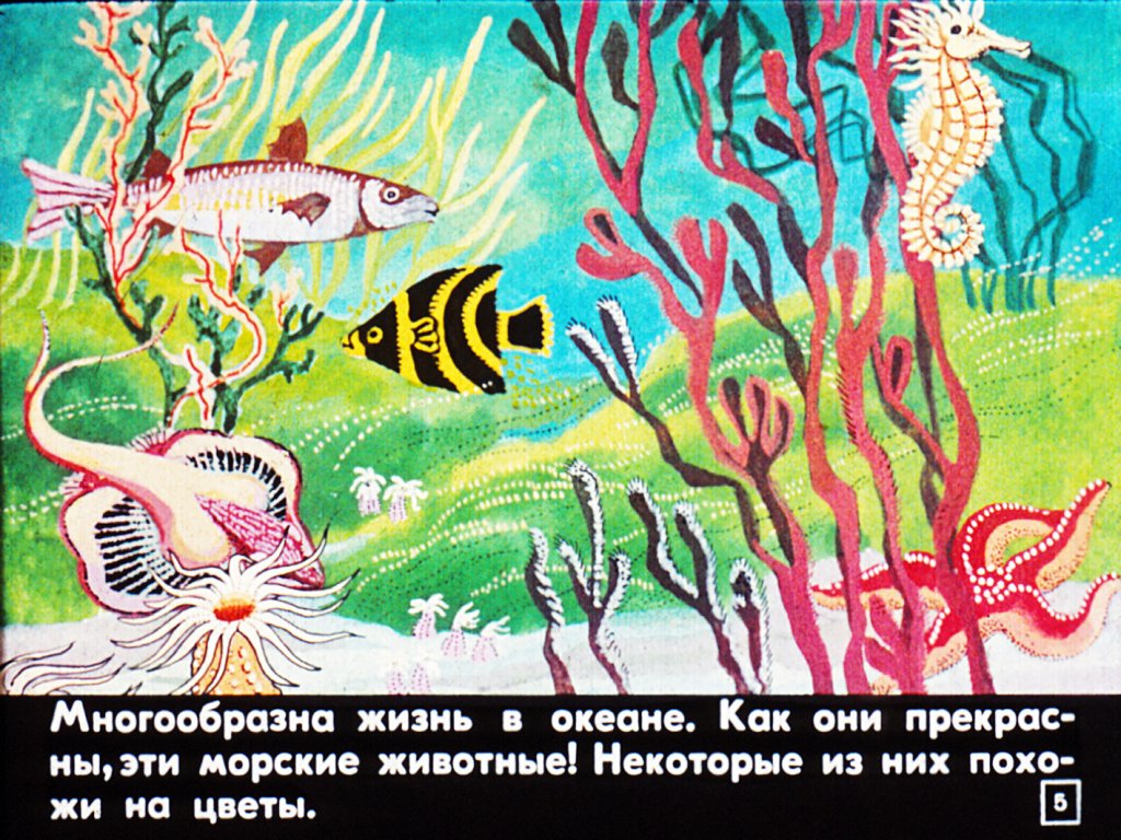 Кадр 5 диафильма «Возникновение жизни на Земле»