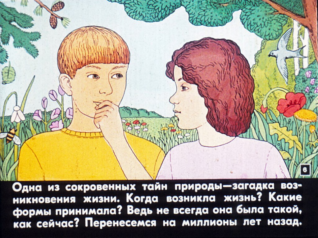Кадр 6 диафильма «Возникновение жизни на Земле»