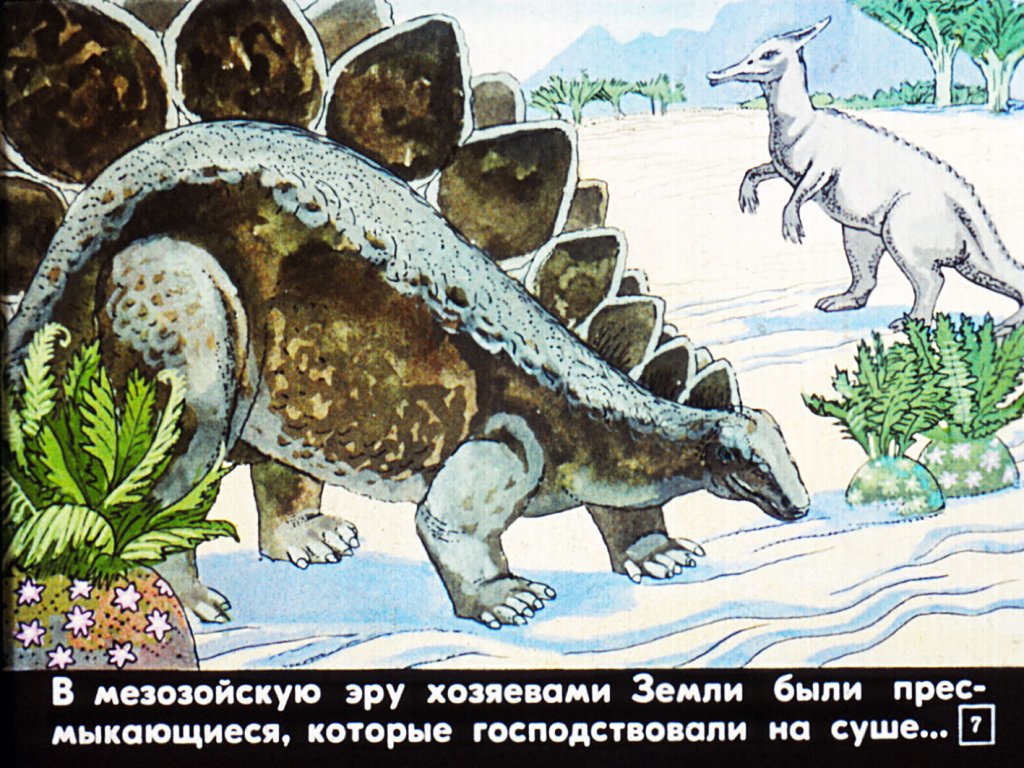 Кадр 7 диафильма «Возникновение жизни на Земле»