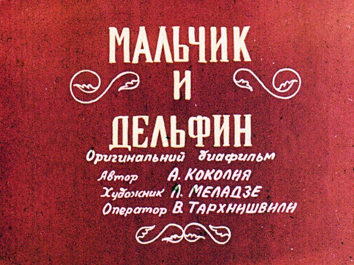 Кадр 2 диафильма «Мальчик и дельфин»