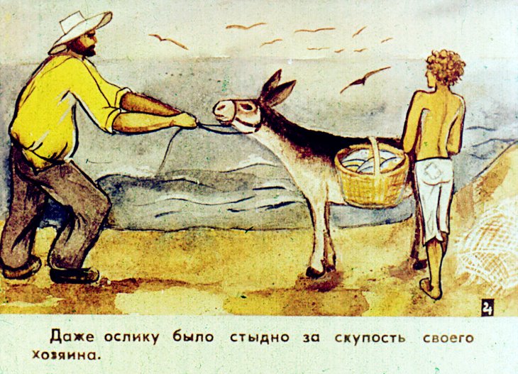 Кадр 6 диафильма «Мальчик и дельфин»