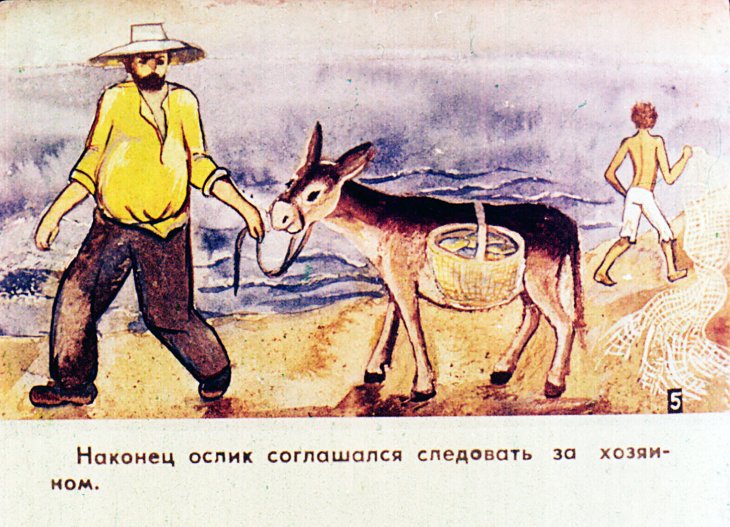Кадр 7 диафильма «Мальчик и дельфин»