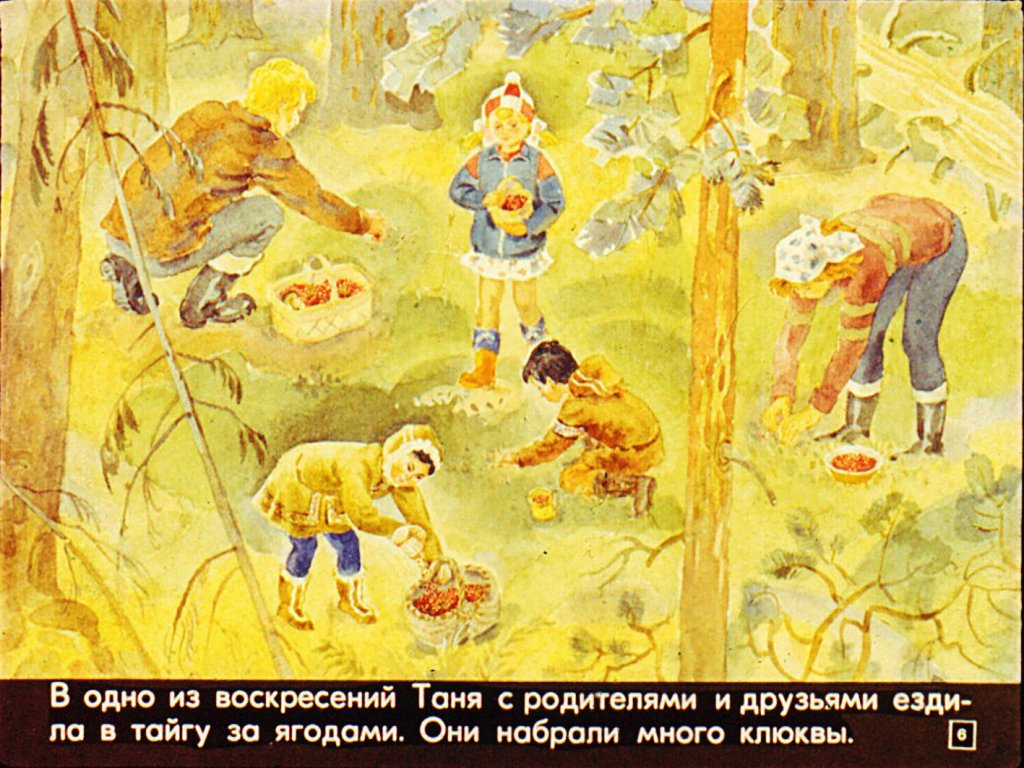 Кадр 6 диафильма «О чем рассказало письмо»