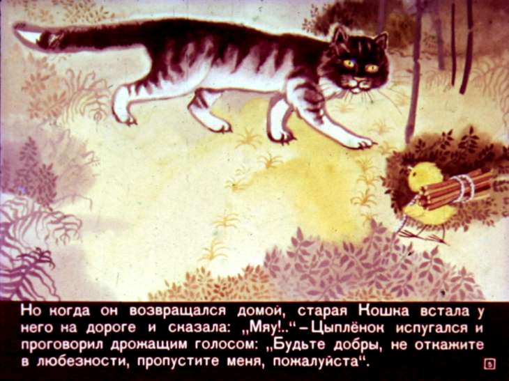 Кадр 5 диафильма «Цыпленок и кошка»