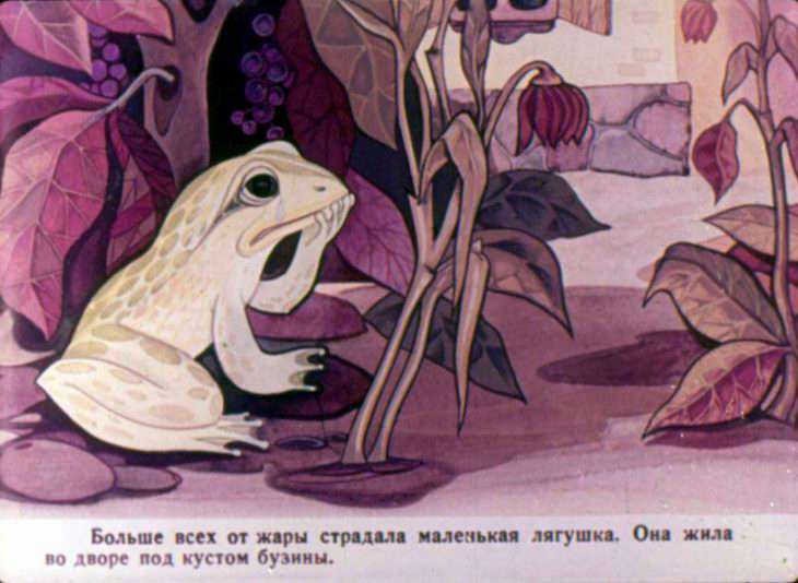 Кадр 4 диафильма «Квакша»