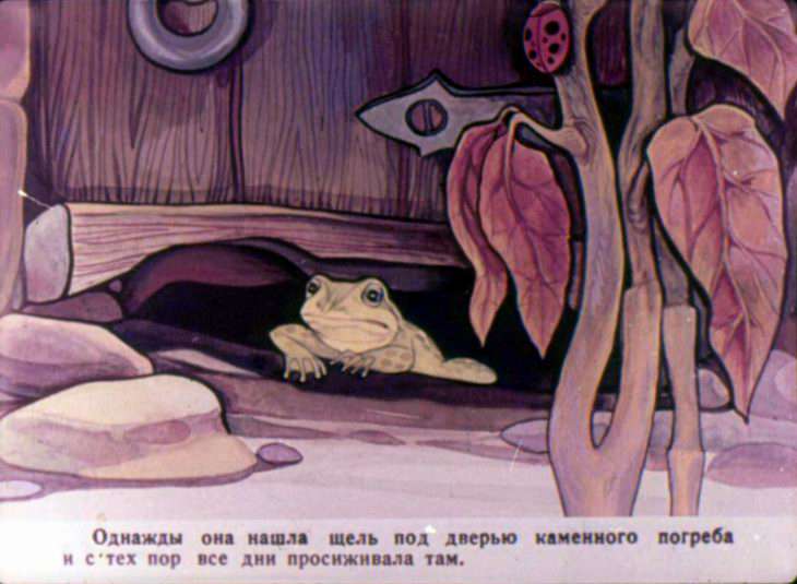 Кадр 6 диафильма «Квакша»