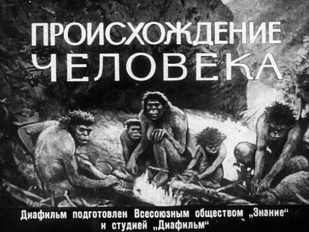 Кадр 1 диафильма «Происхождение человека»