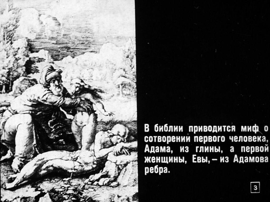 Кадр 3 диафильма «Происхождение человека»