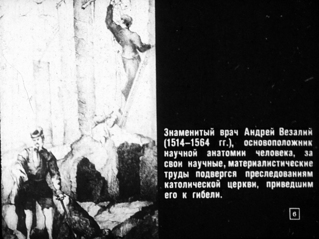 Кадр 6 диафильма «Происхождение человека»