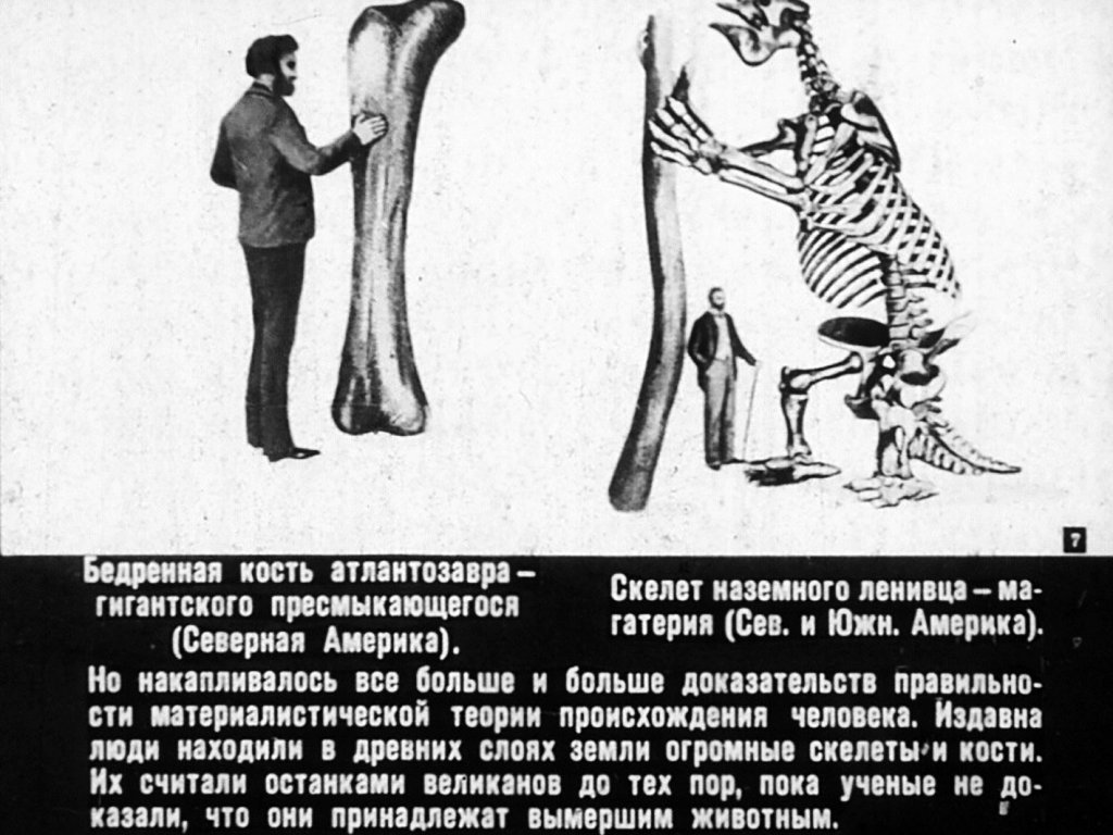 Кадр 7 диафильма «Происхождение человека»