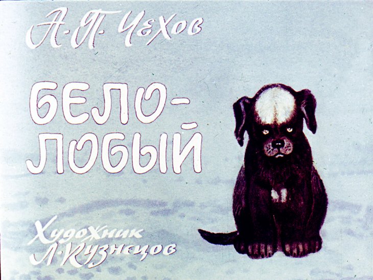 Кадр 1 диафильма «Белолобый»