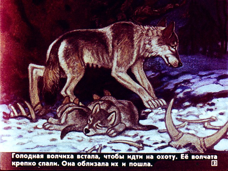 Кадр 2 диафильма «Белолобый»