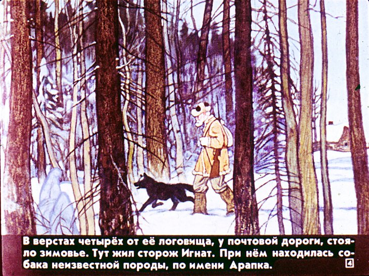 Кадр 4 диафильма «Белолобый»