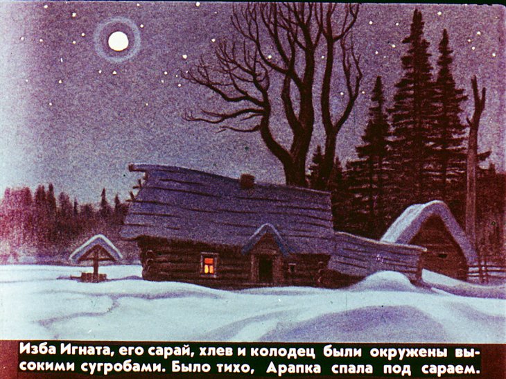 Кадр 5 диафильма «Белолобый»