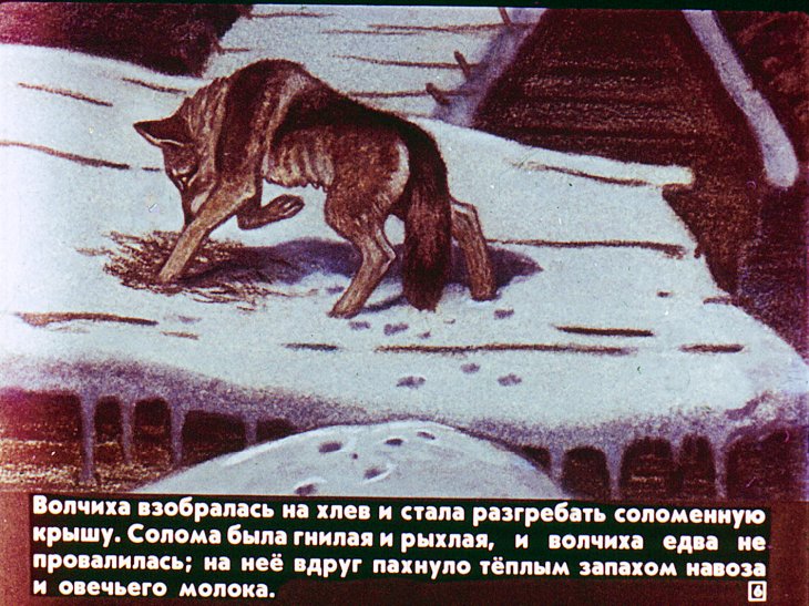 Кадр 6 диафильма «Белолобый»