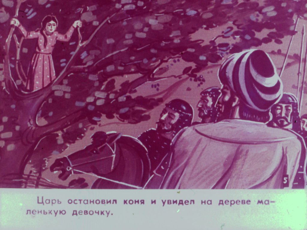 Кадр 7 диафильма «Царь Ираклий и ингилойка»