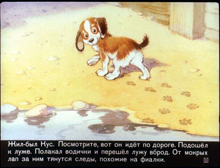 Кадр 2 диафильма «Кус, который не любил кусаться»