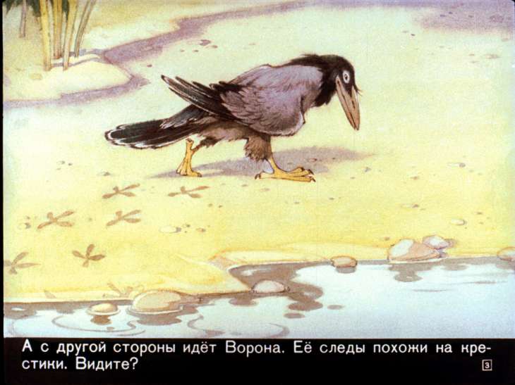 Кадр 3 диафильма «Кус, который не любил кусаться»