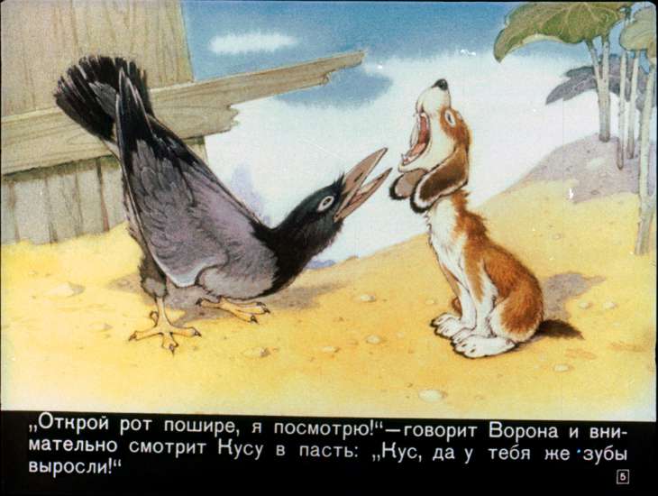 Кадр 5 диафильма «Кус, который не любил кусаться»