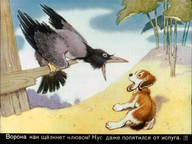 Кадр 7 диафильма «Кус, который не любил кусаться»