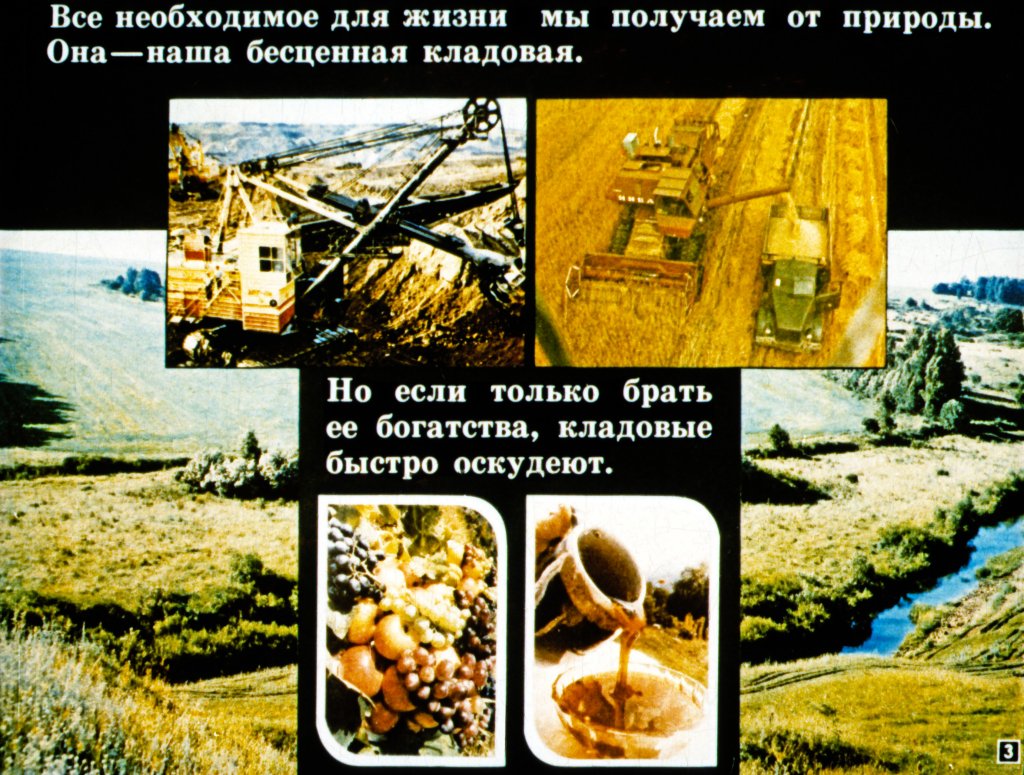 Кадр 3 диафильма «Наша природа - наша забота»