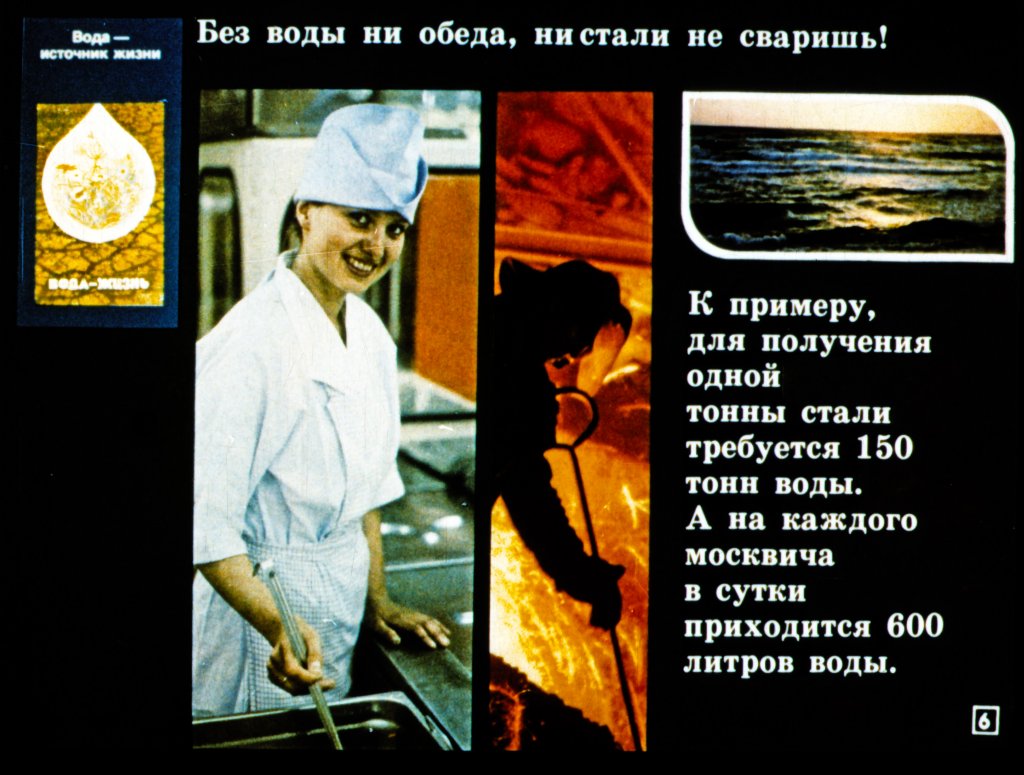 Кадр 6 диафильма «Наша природа - наша забота»