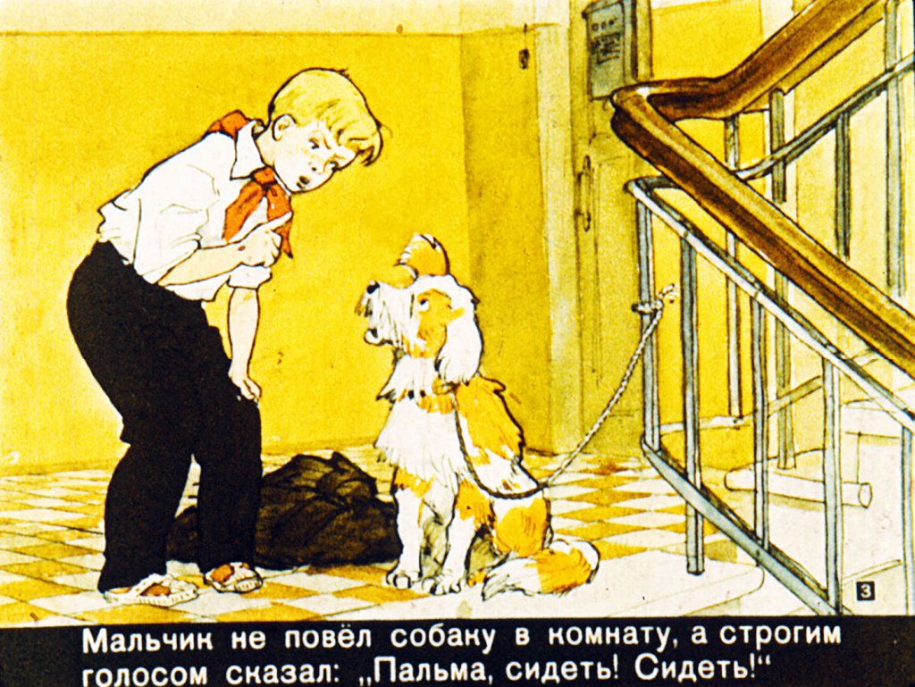 Кадр 3 диафильма «Дрессировщики»
