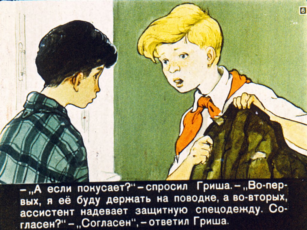 Кадр 6 диафильма «Дрессировщики»