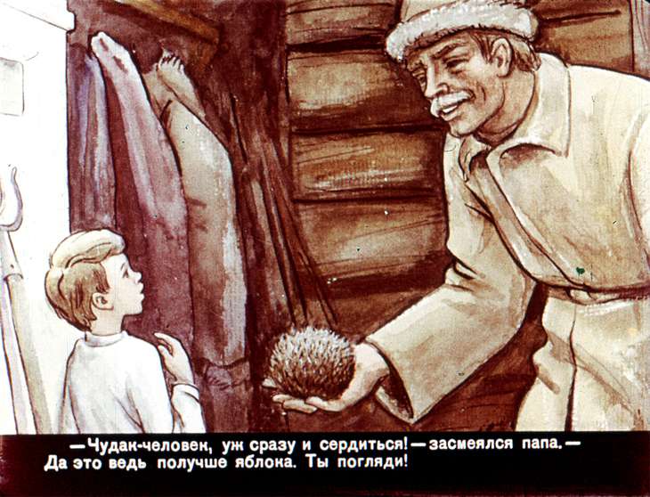 Кадр 5 диафильма «Жил-был ежик»
