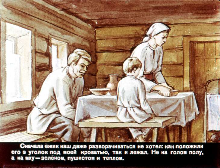 Кадр 6 диафильма «Жил-был ежик»