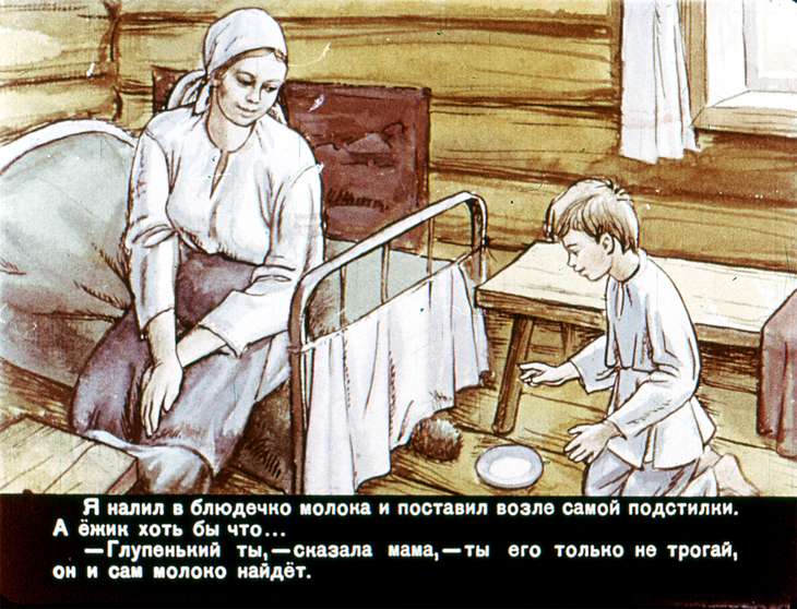Кадр 7 диафильма «Жил-был ежик»